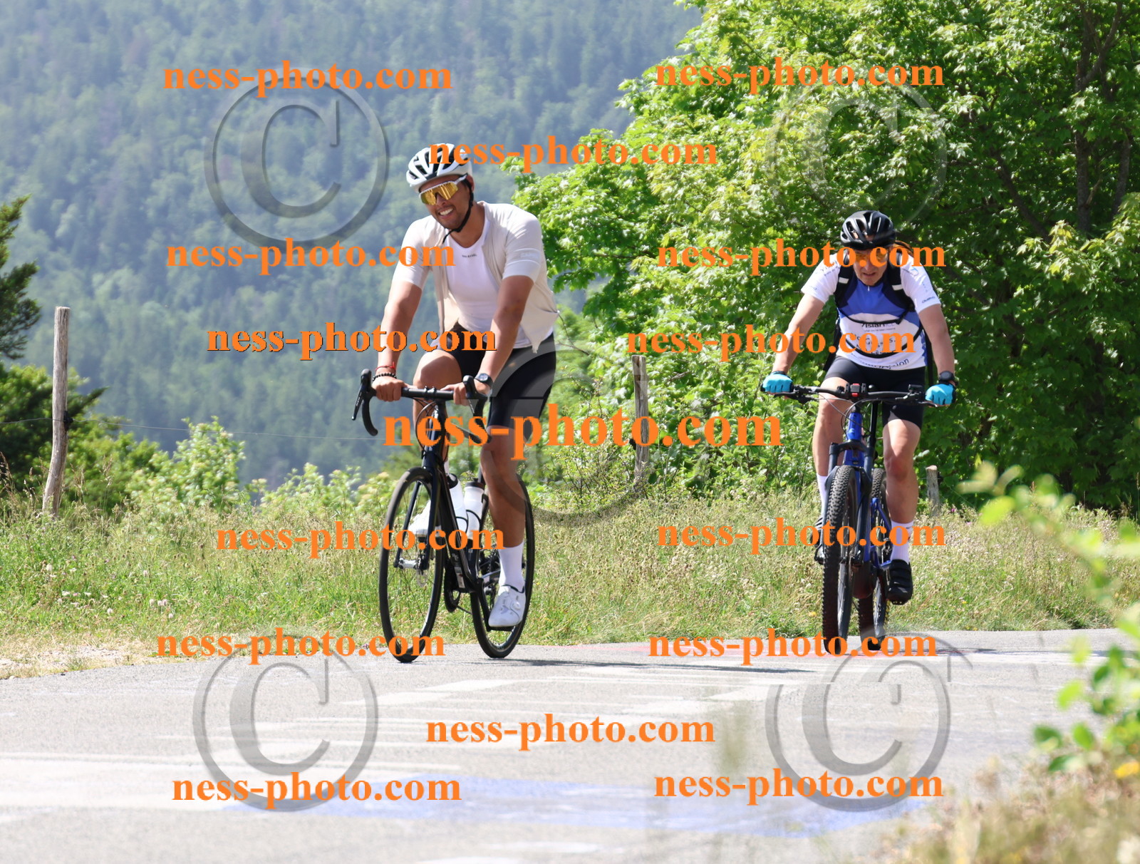 Col du grand Colombier (1499).JPG