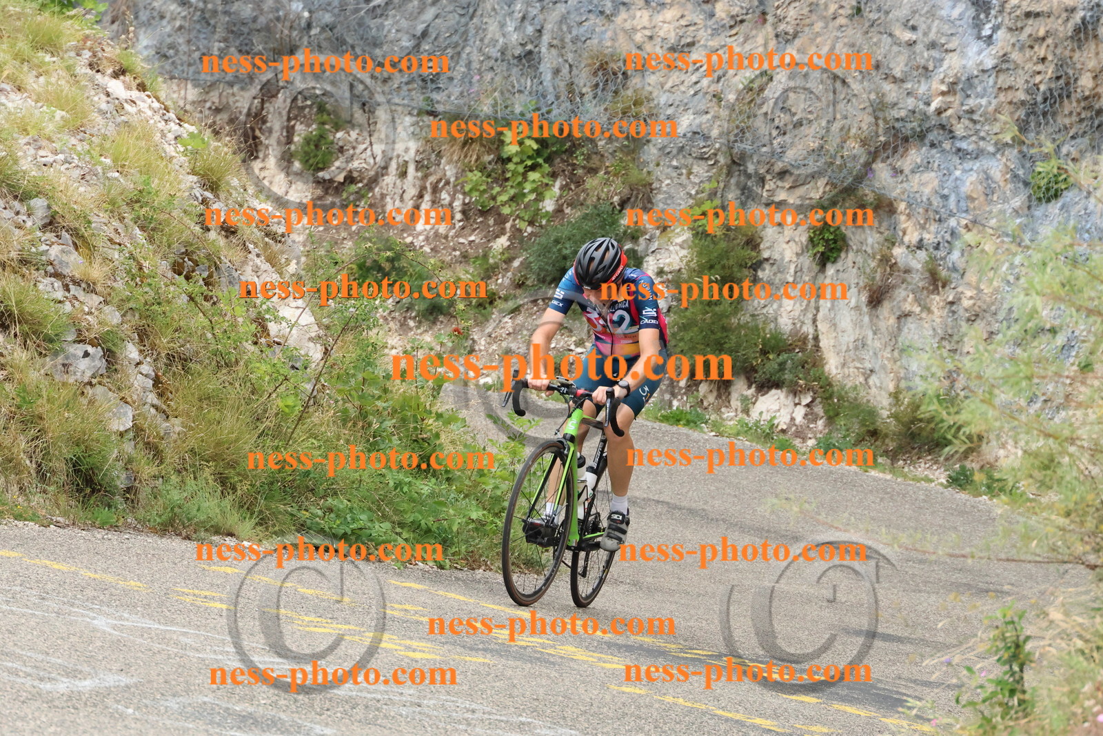 Col du Grand Colombier  (787).JPG