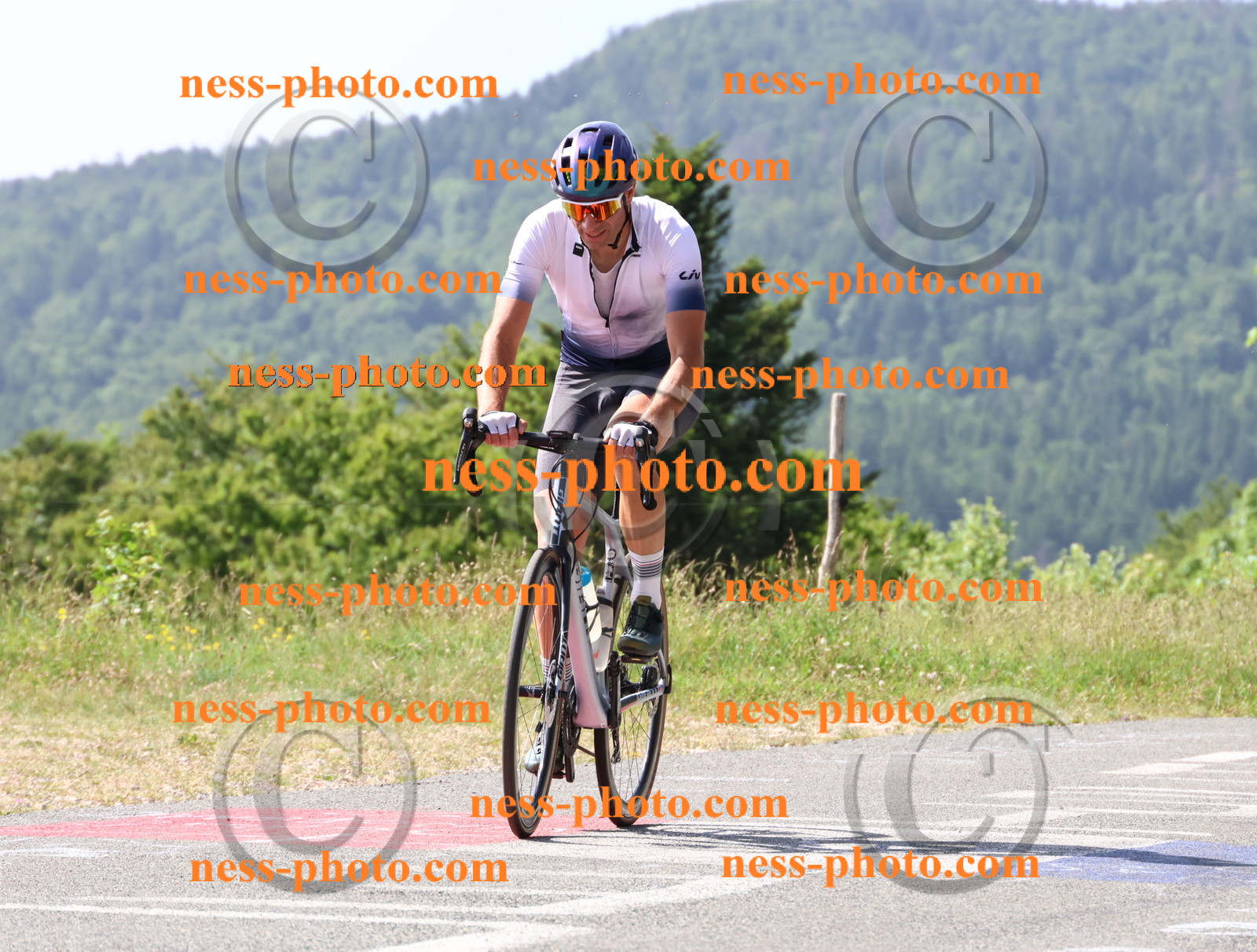 Col du grand Colombier (657).JPG