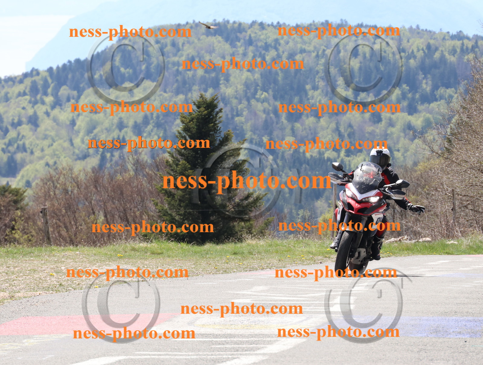 Col du Grand Colombier (32).JPG