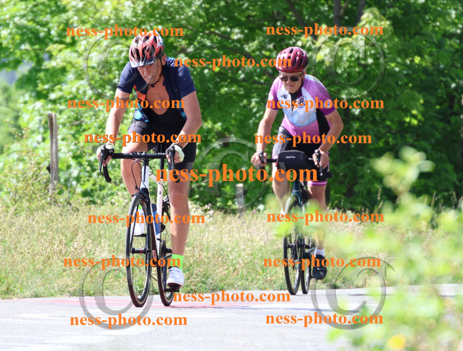 Col du grand Colombier (1196).JPG