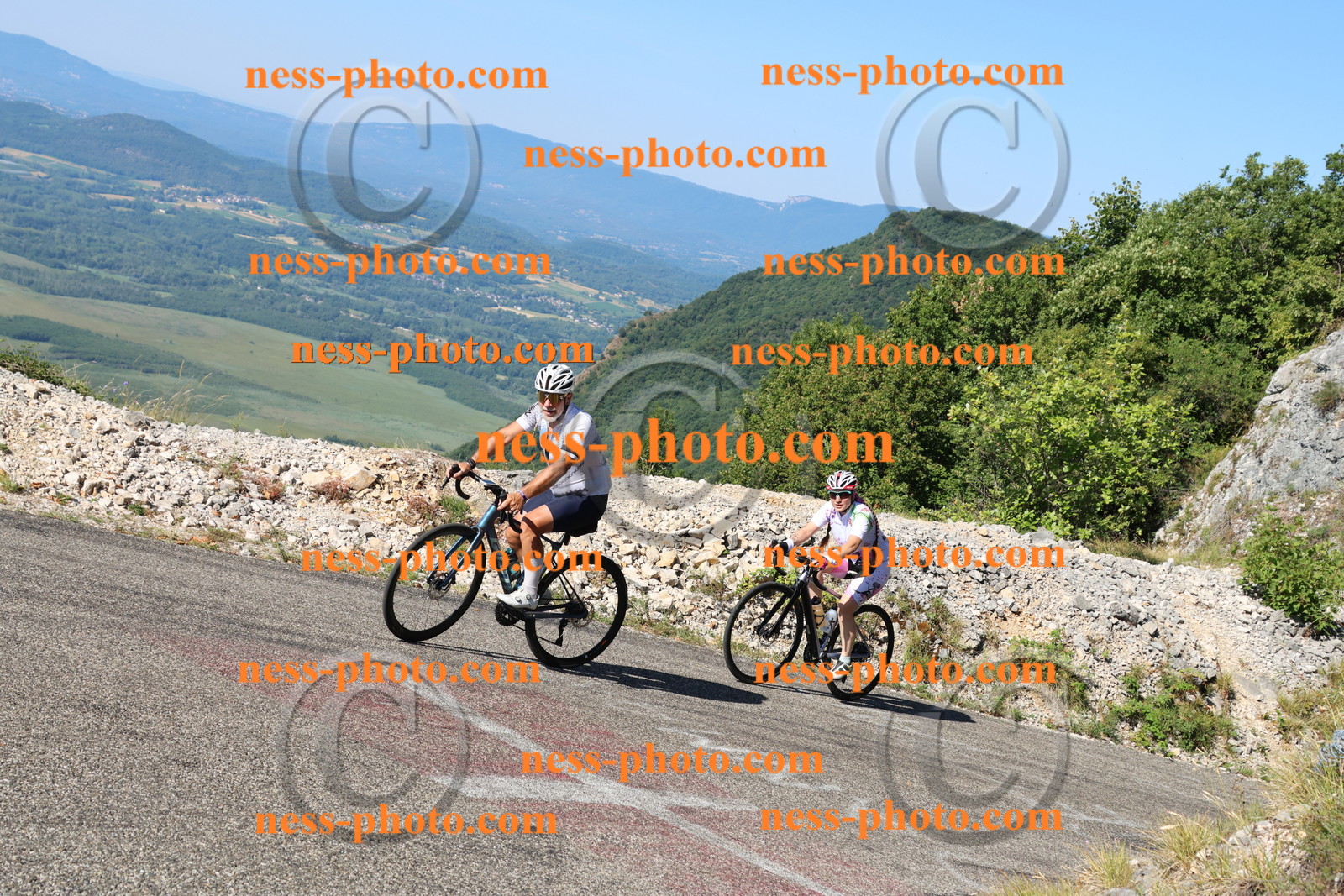 Col du Grand Colombier (1343).JPG