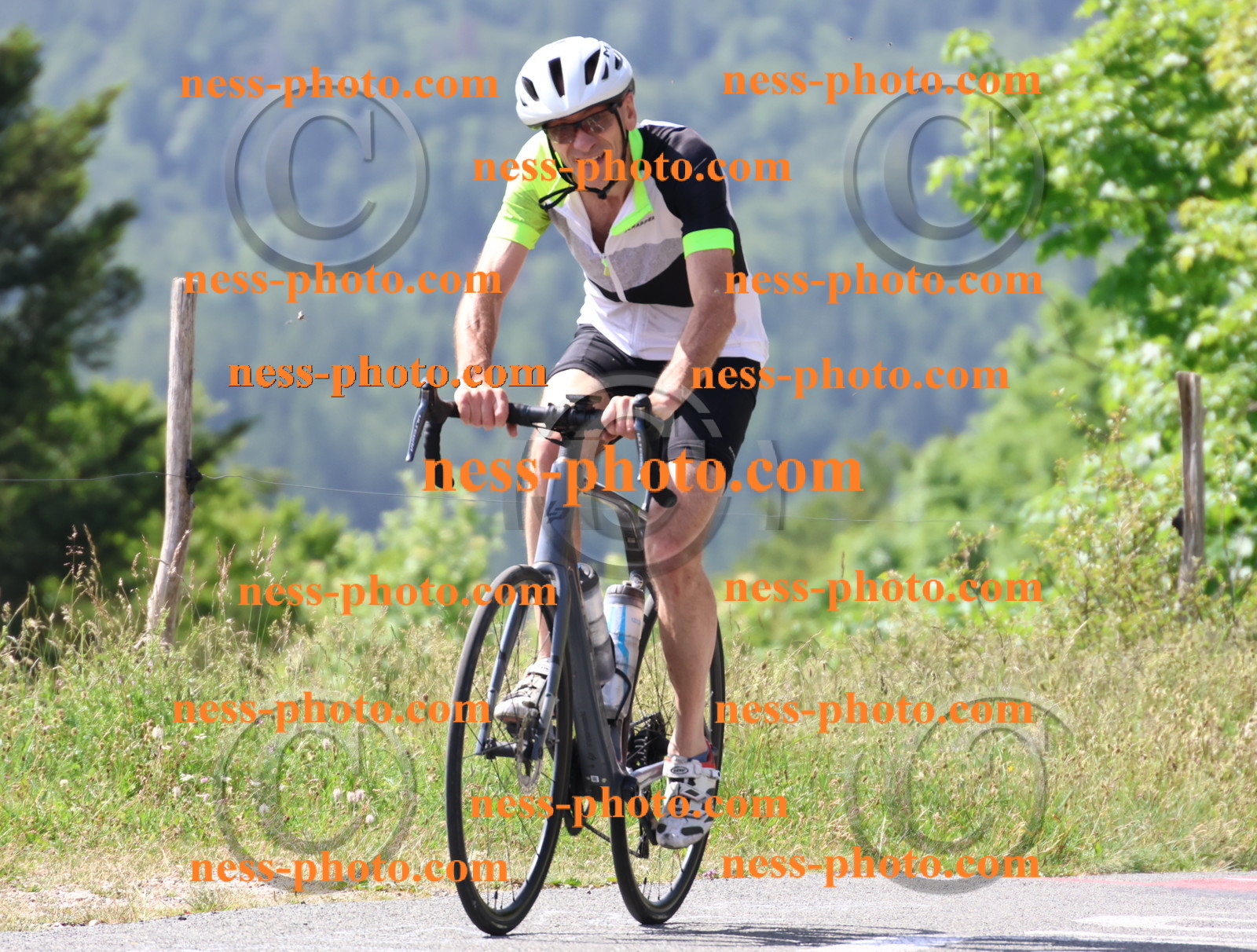 Col du grand Colombier (1214).JPG