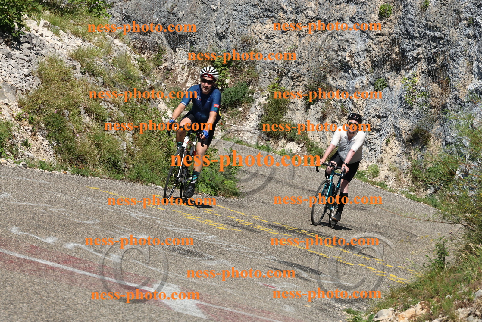 Col du Grand Colombier (313).JPG