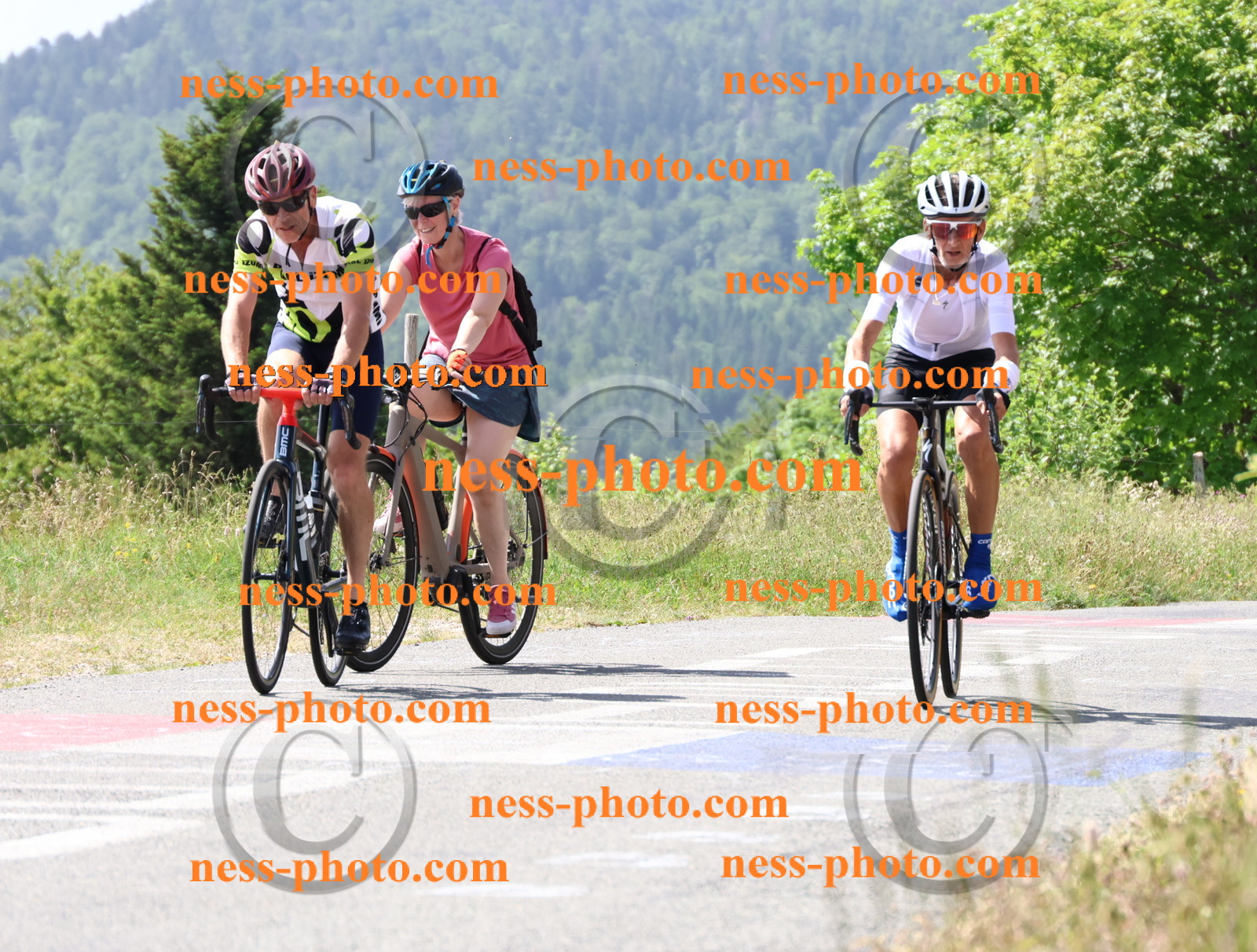 Col du grand Colombier (1301).JPG