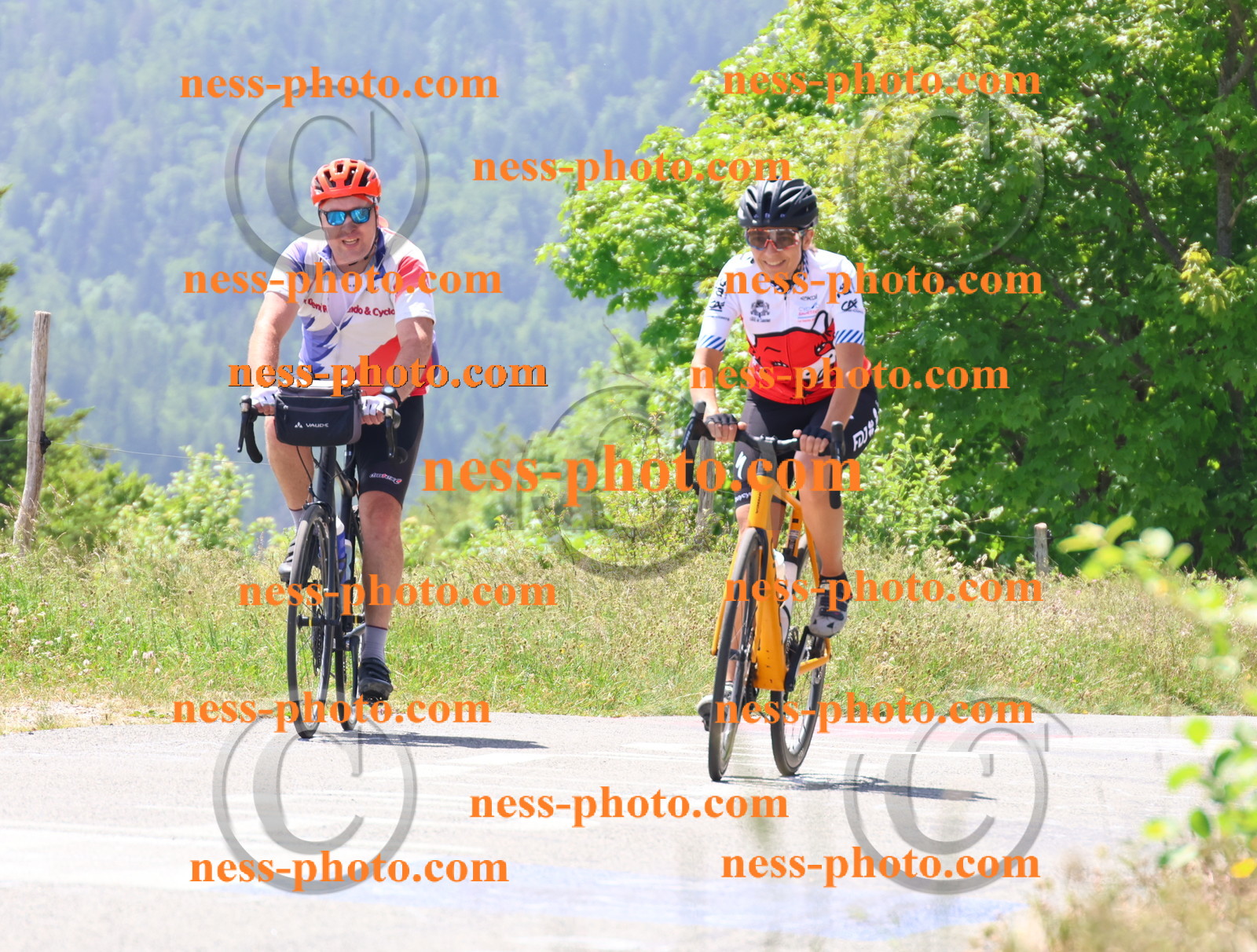 Col du grand Colombier (2550).JPG