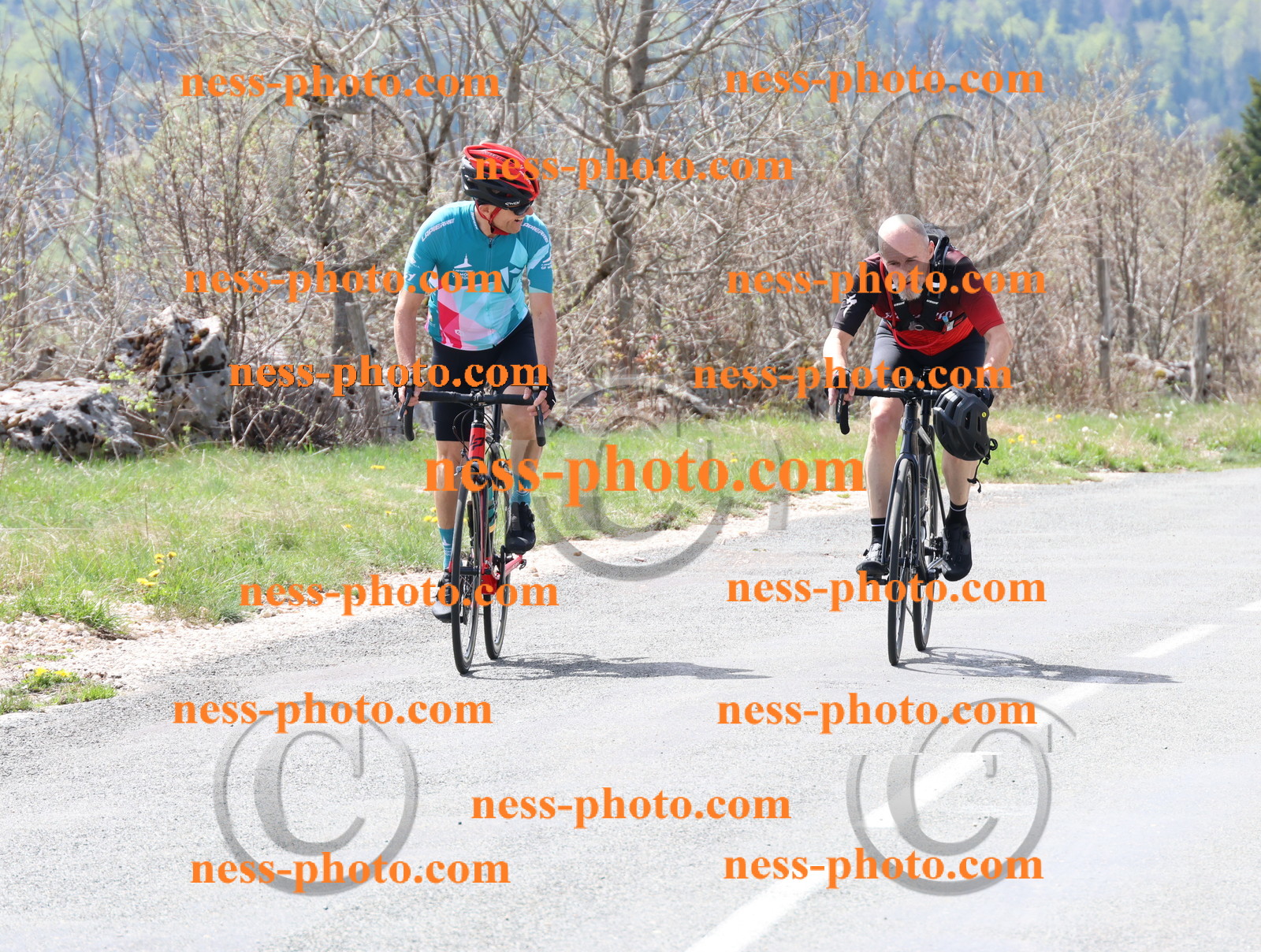 Col du Grand Colombier (21).JPG