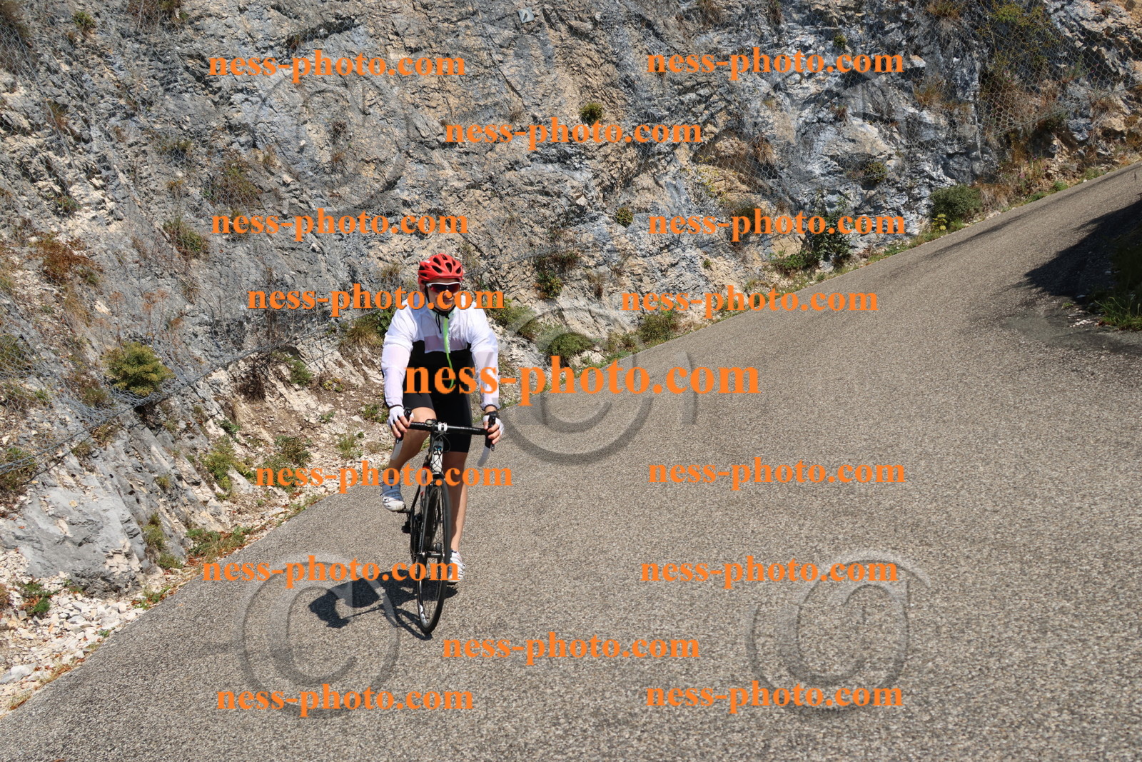 Col du Grand Colombier (312).JPG