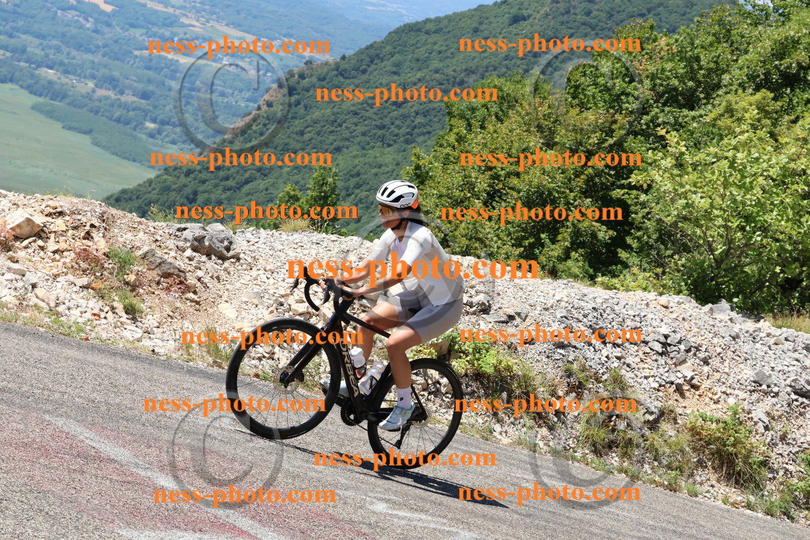 Col du Grand Colombier (2677).JPG