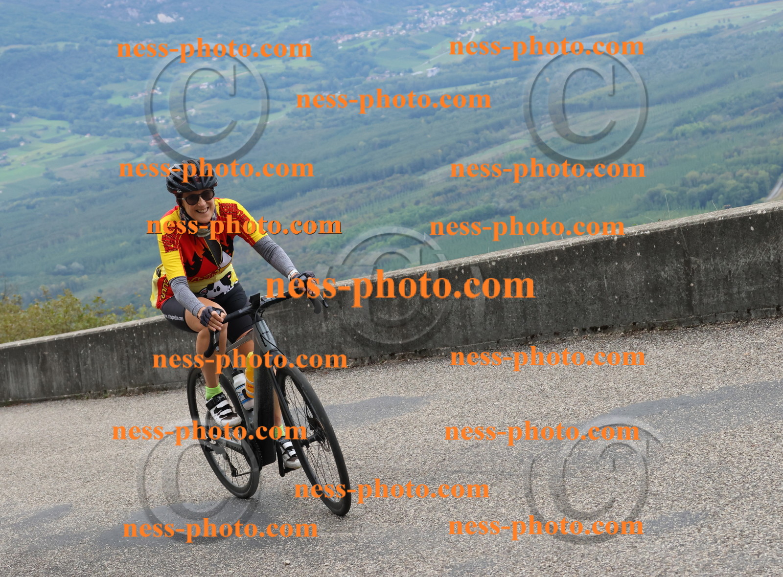 Col du Grand Colombier (1490).JPG