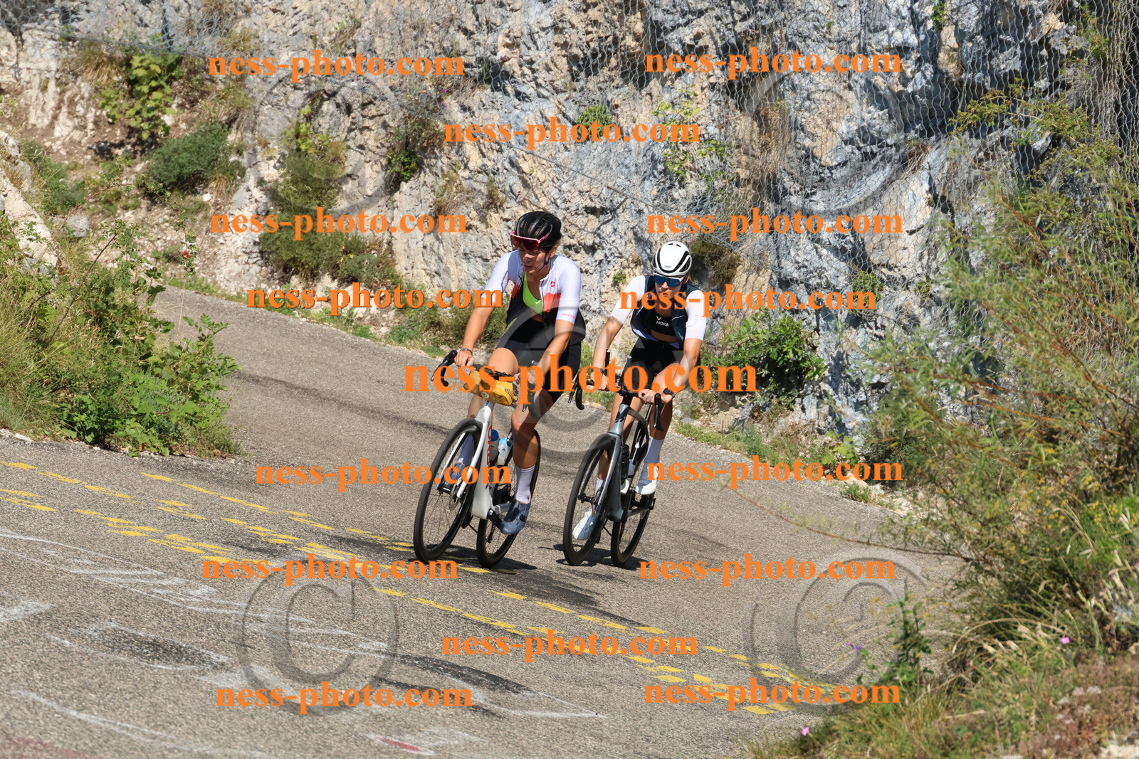 Col du Grand Colombier (354).JPG