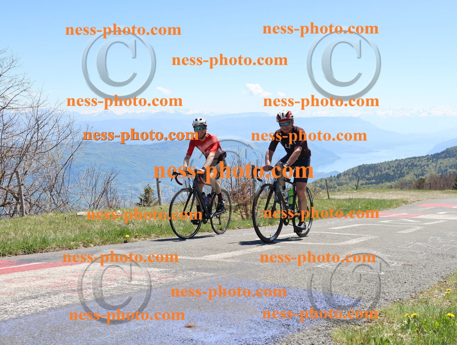 Col du Grand Colombier (605).JPG