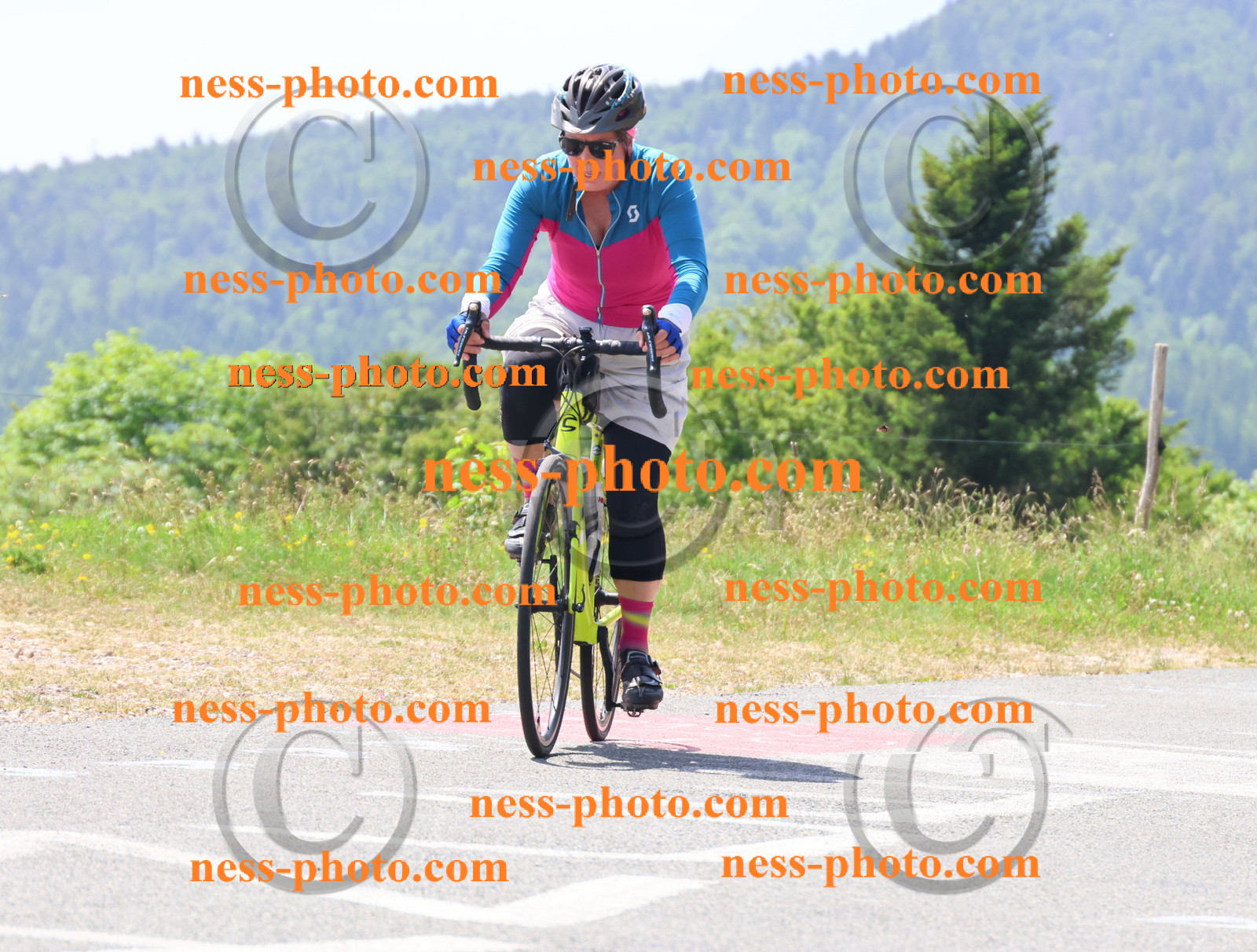 Col du grand Colombier (2272).JPG