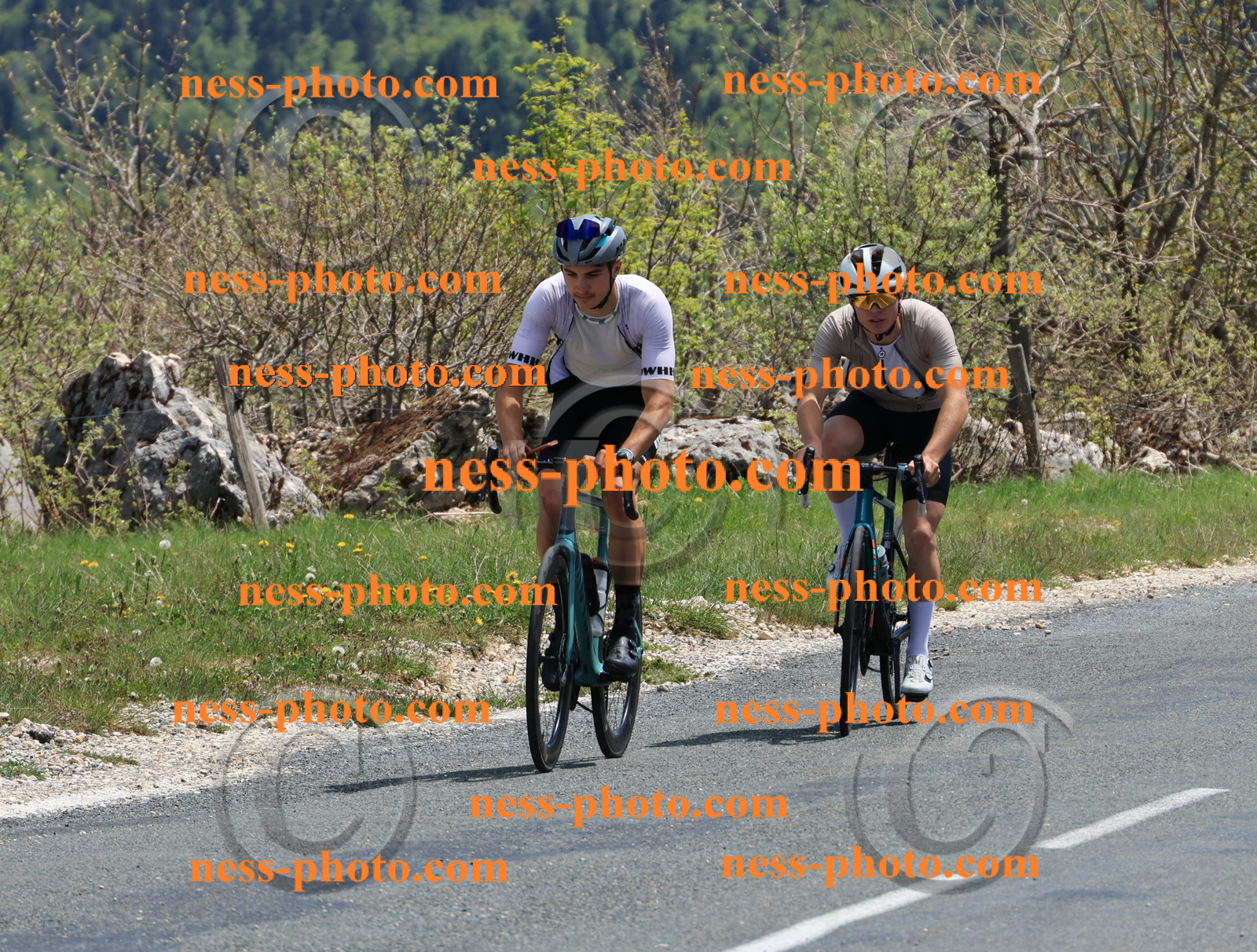 Col du Grand Colombier (540).JPG