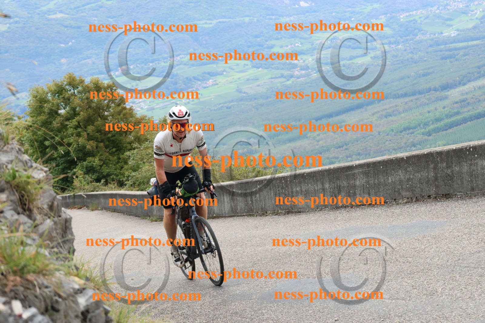 Col du Grand Colombier (2884).JPG