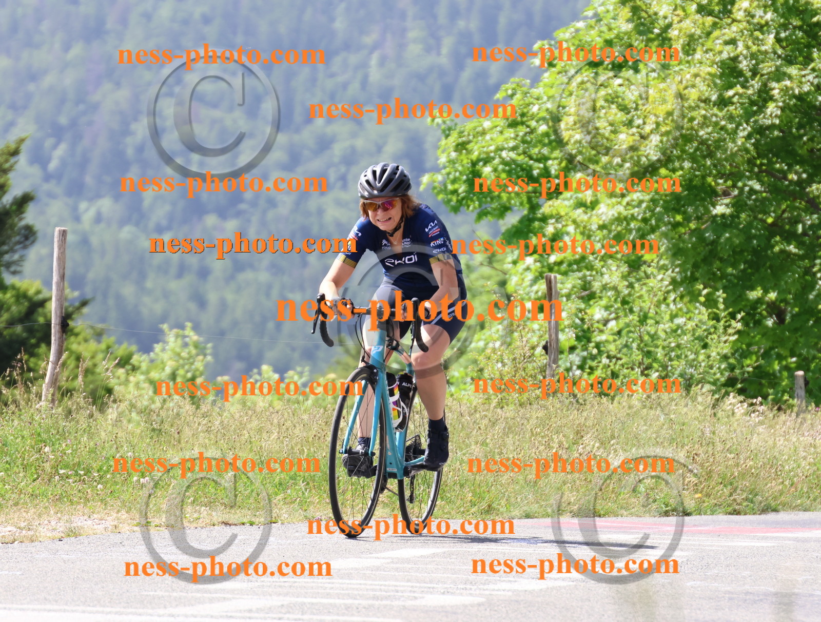 Col du grand Colombier (1278).JPG