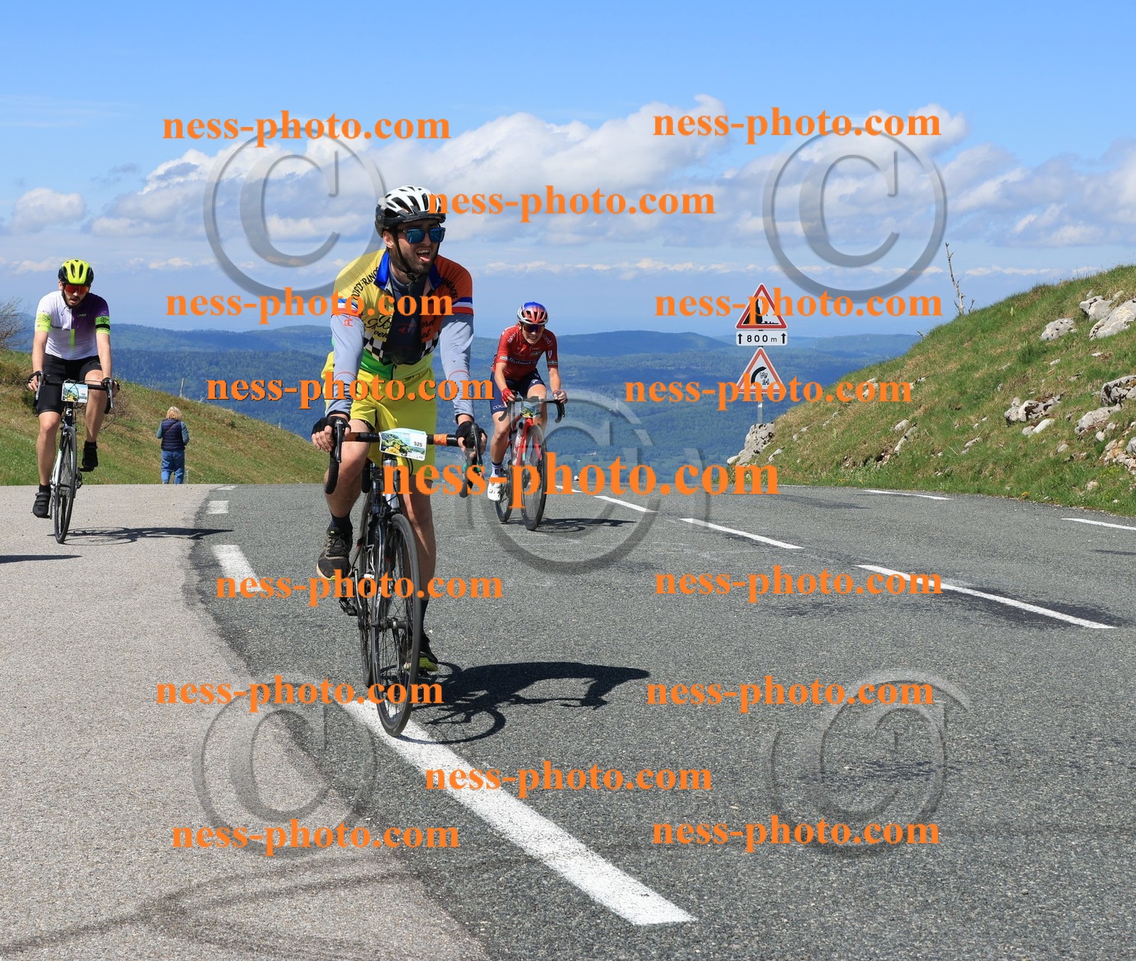 Col du Grand Colombier (1009).JPG