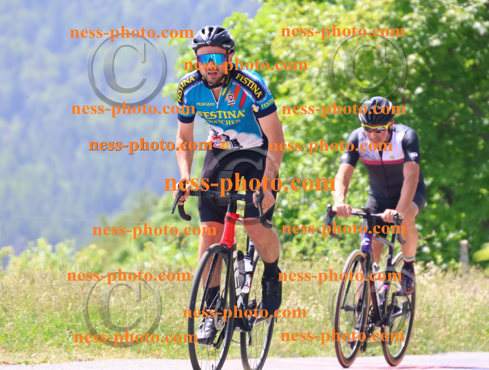 Col du grand Colombier (2311).JPG