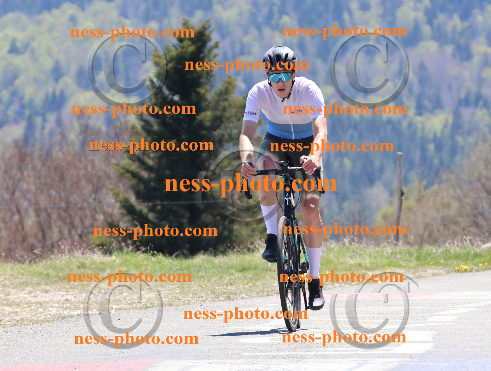 Col du Grand Colombier (702).JPG