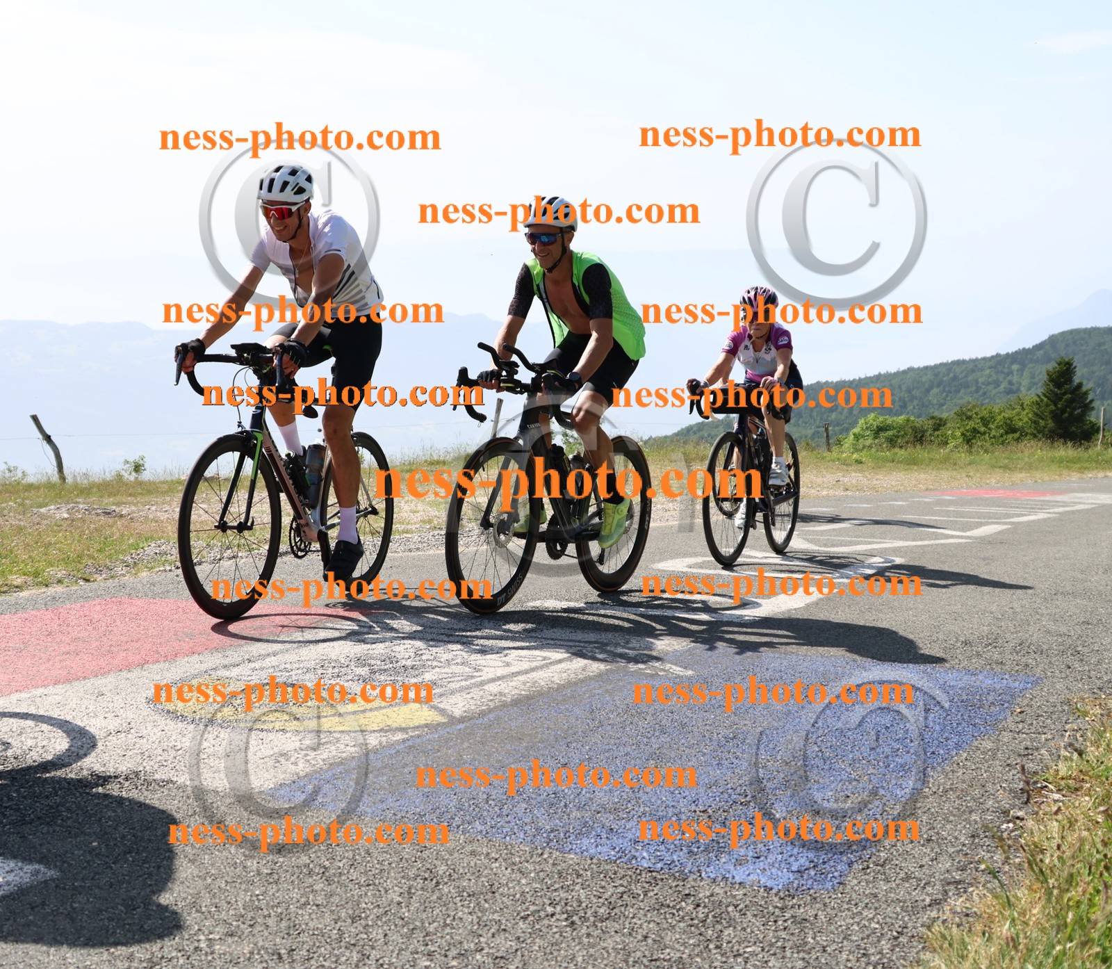 Col du grand Colombier (613).JPG