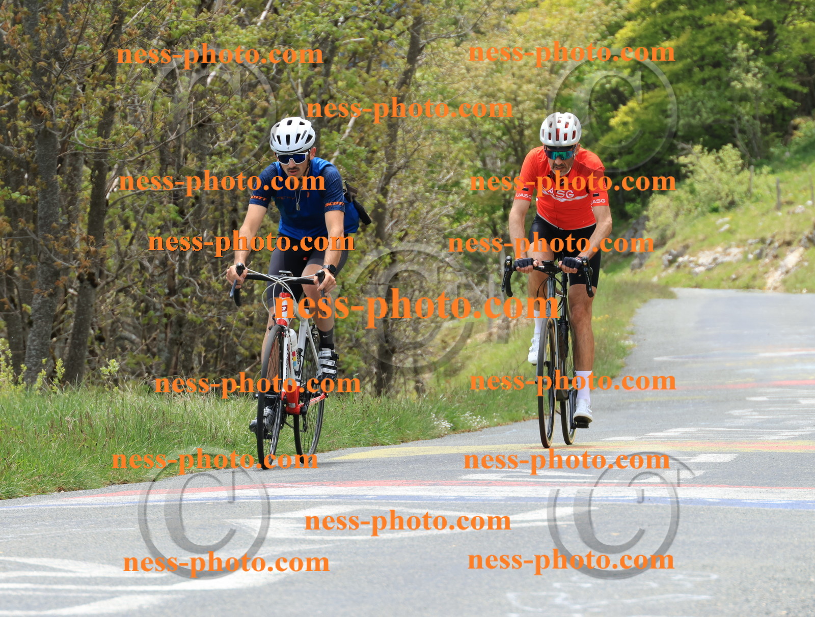 Col du Grand Colombier (478).JPG