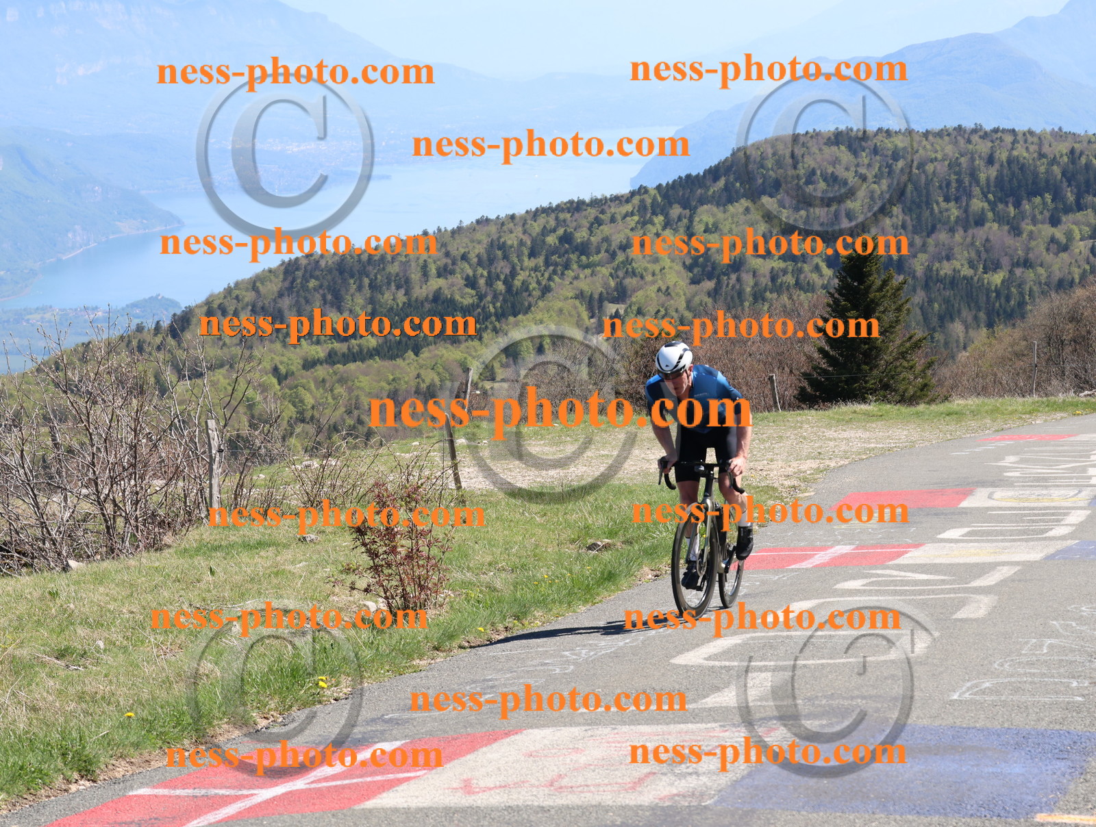 Col du Grand Colombier (979).JPG