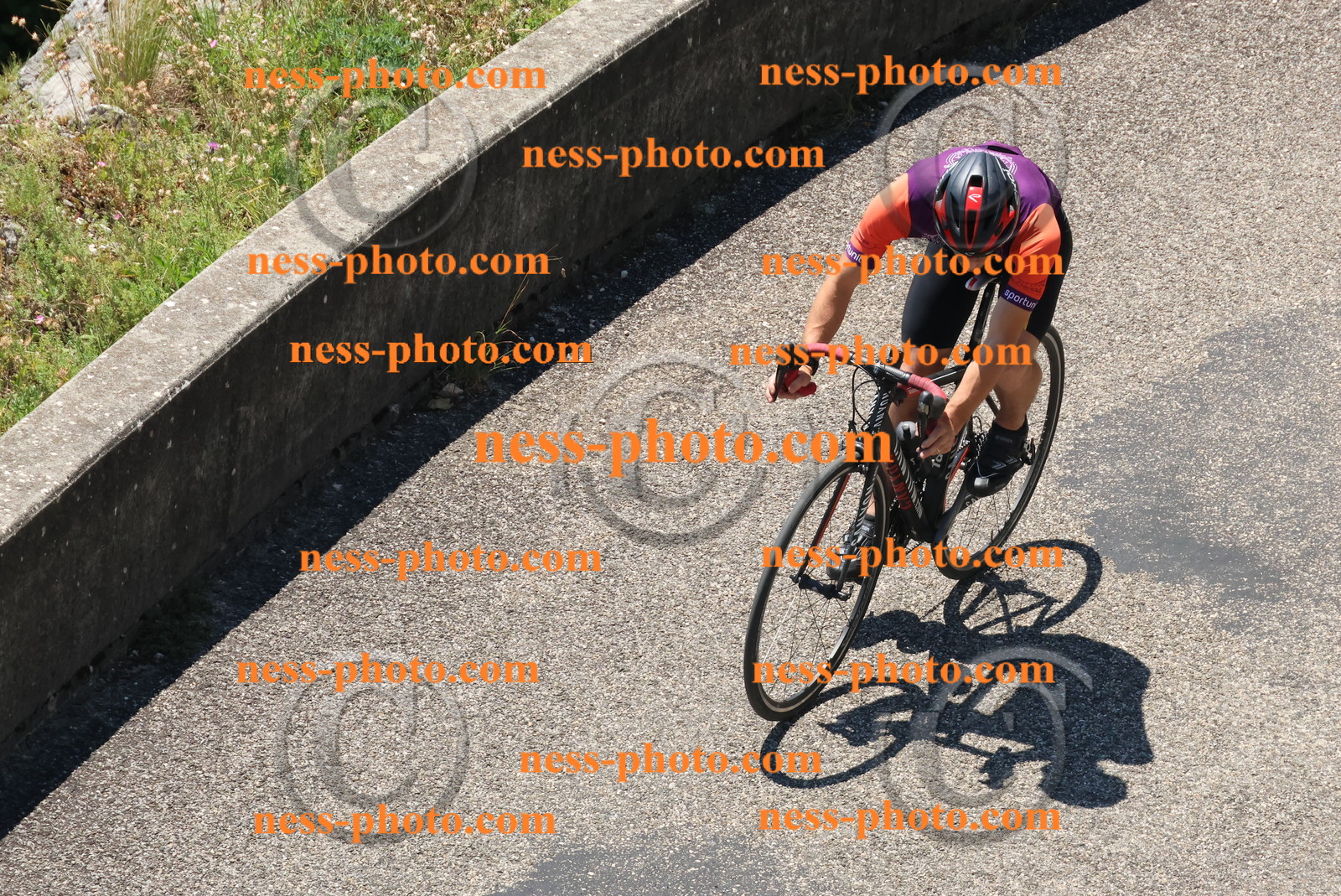 Col du Grand Colombier (514).JPG