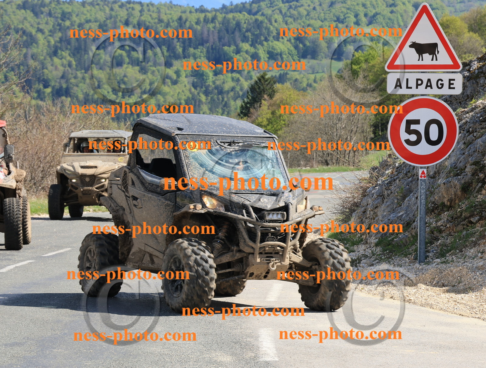 Col du Grand Colombier (224).JPG