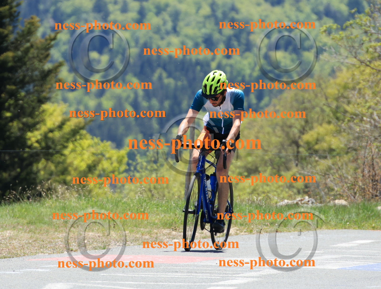 Col du Grand Colombier (402).JPG