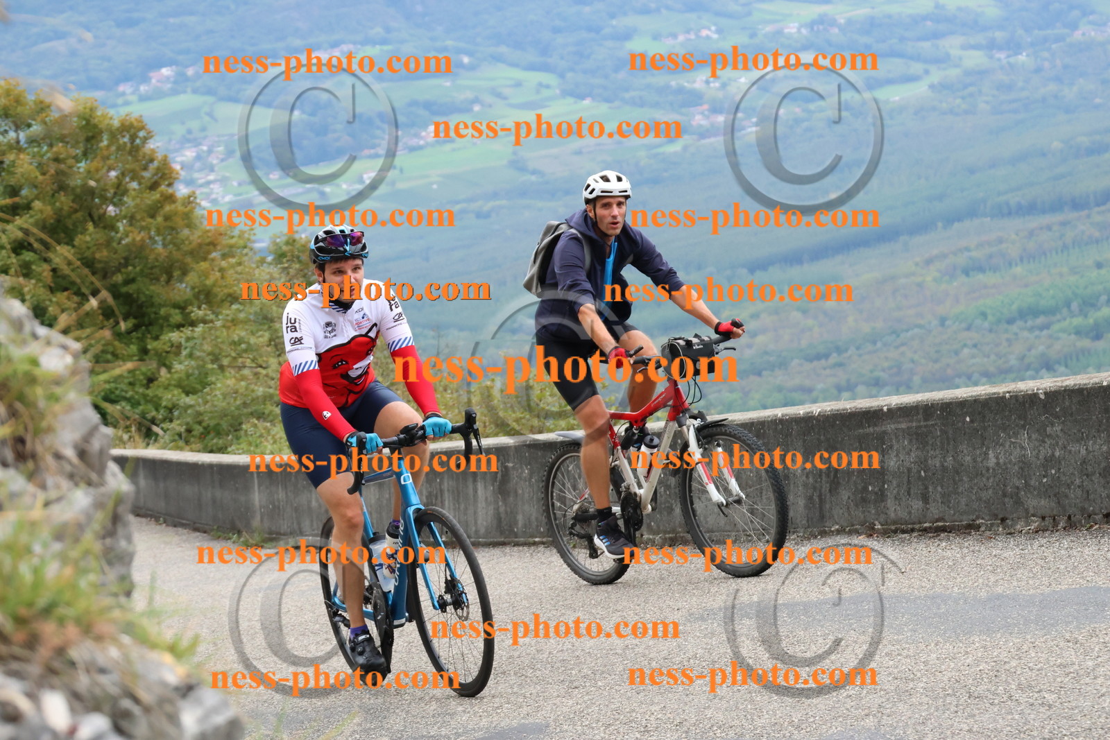 Col du Grand Colombier (666).JPG