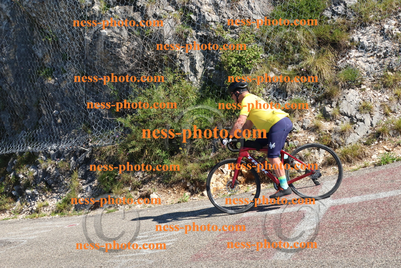 Col du Grand Colombier (295).JPG