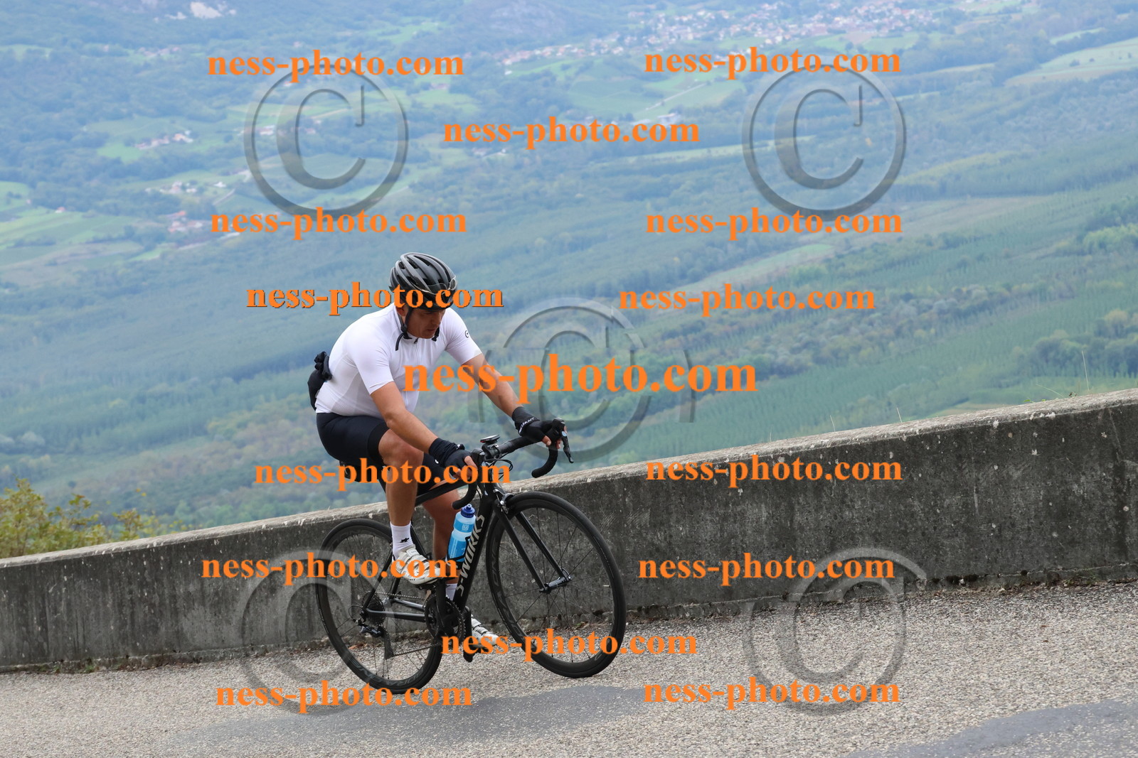 Col du Grand Colombier (937).JPG