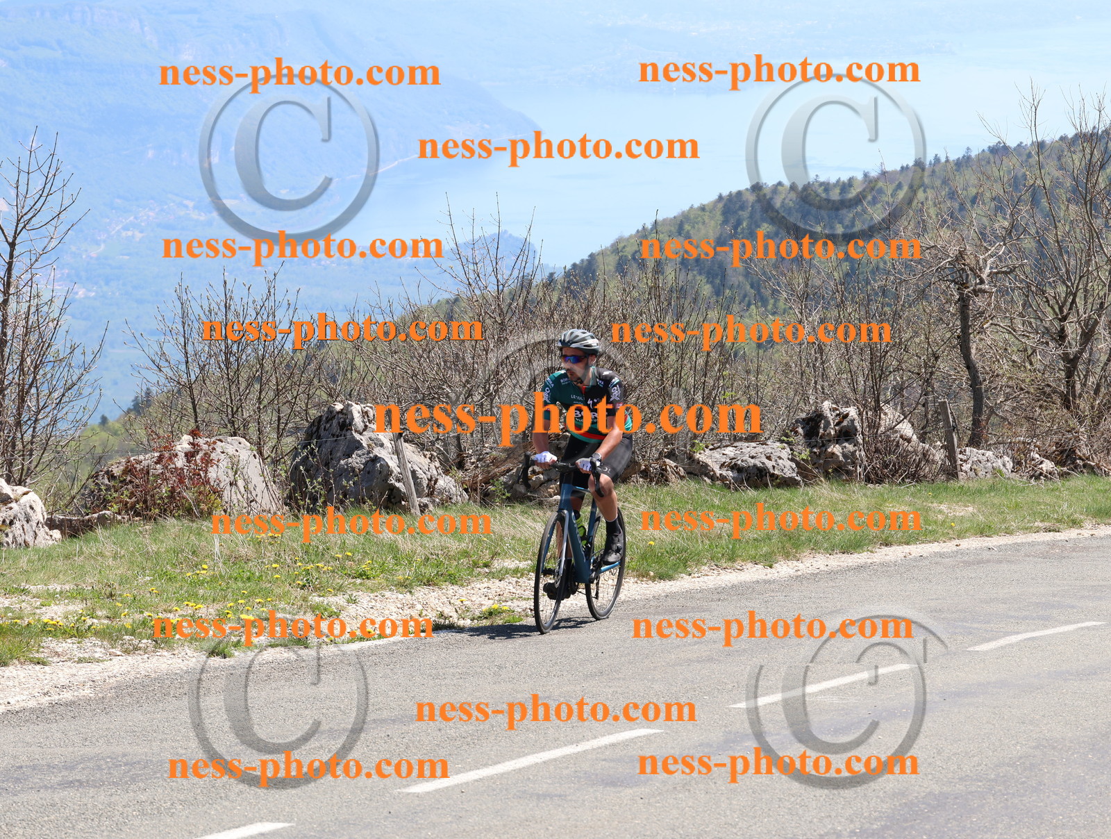 Col du Grand Colombier (877).JPG