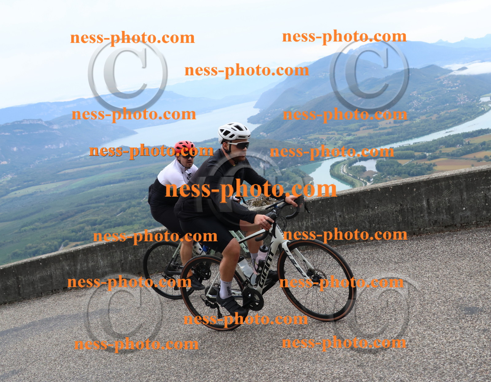 Col du Grand Colombier (1191).JPG