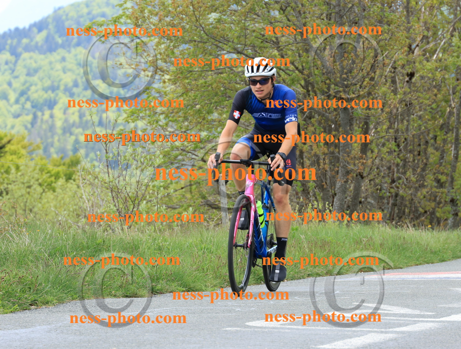 Col du Grand Colombier (561).JPG