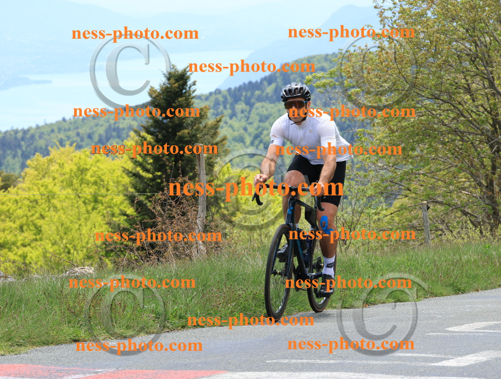 Col du Grand Colombier (508).JPG