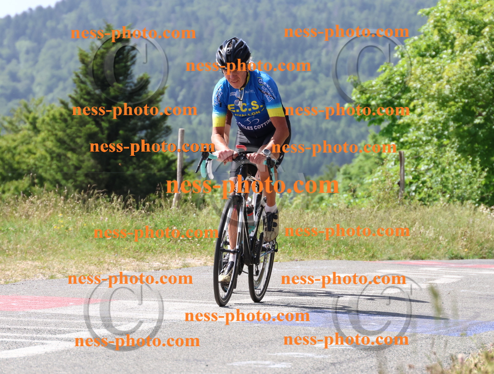 Col du grand Colombier (1068).JPG