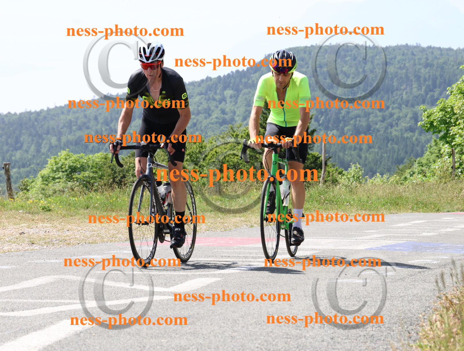 Col du grand Colombier (1387).JPG