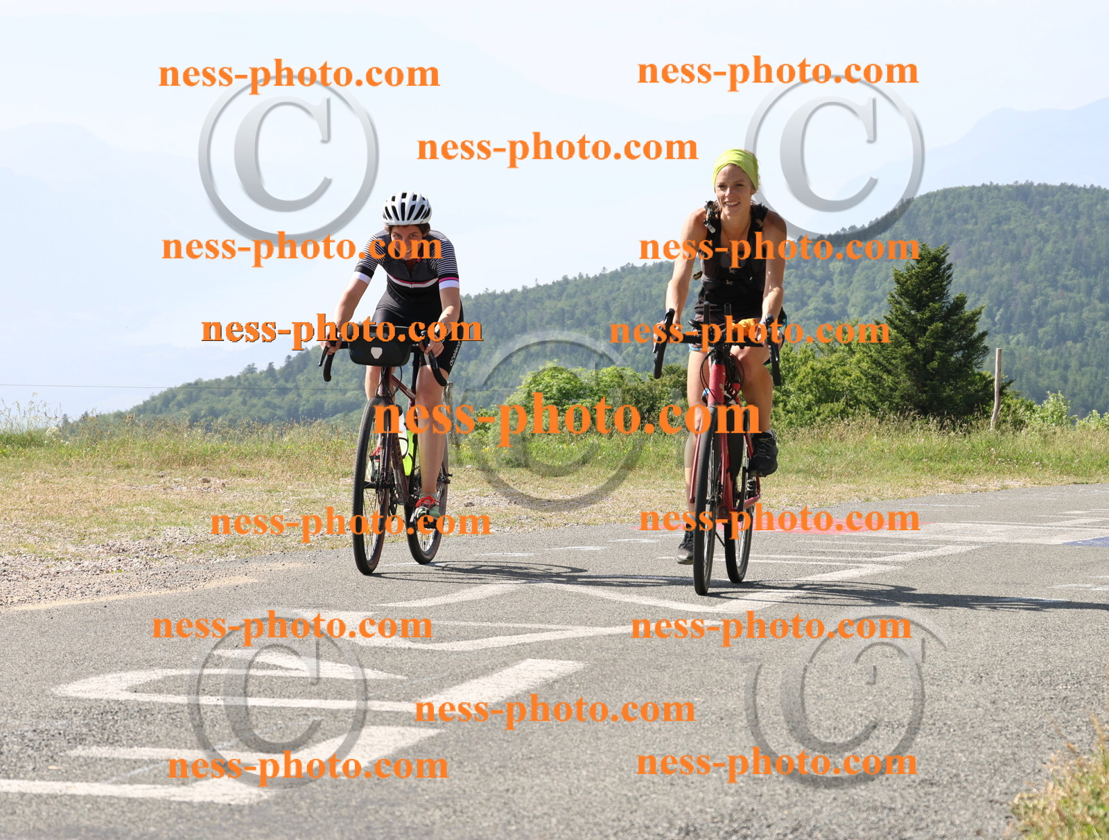 Col du grand Colombier (472).JPG