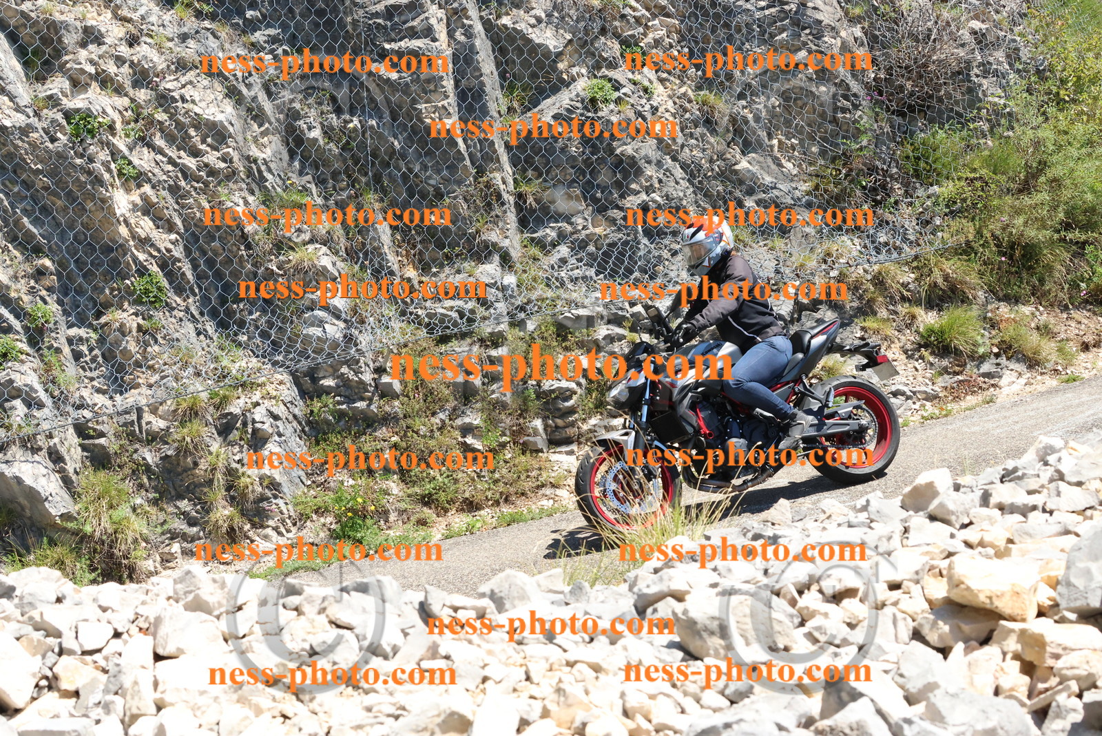 Col du Grand Colombier (307).JPG