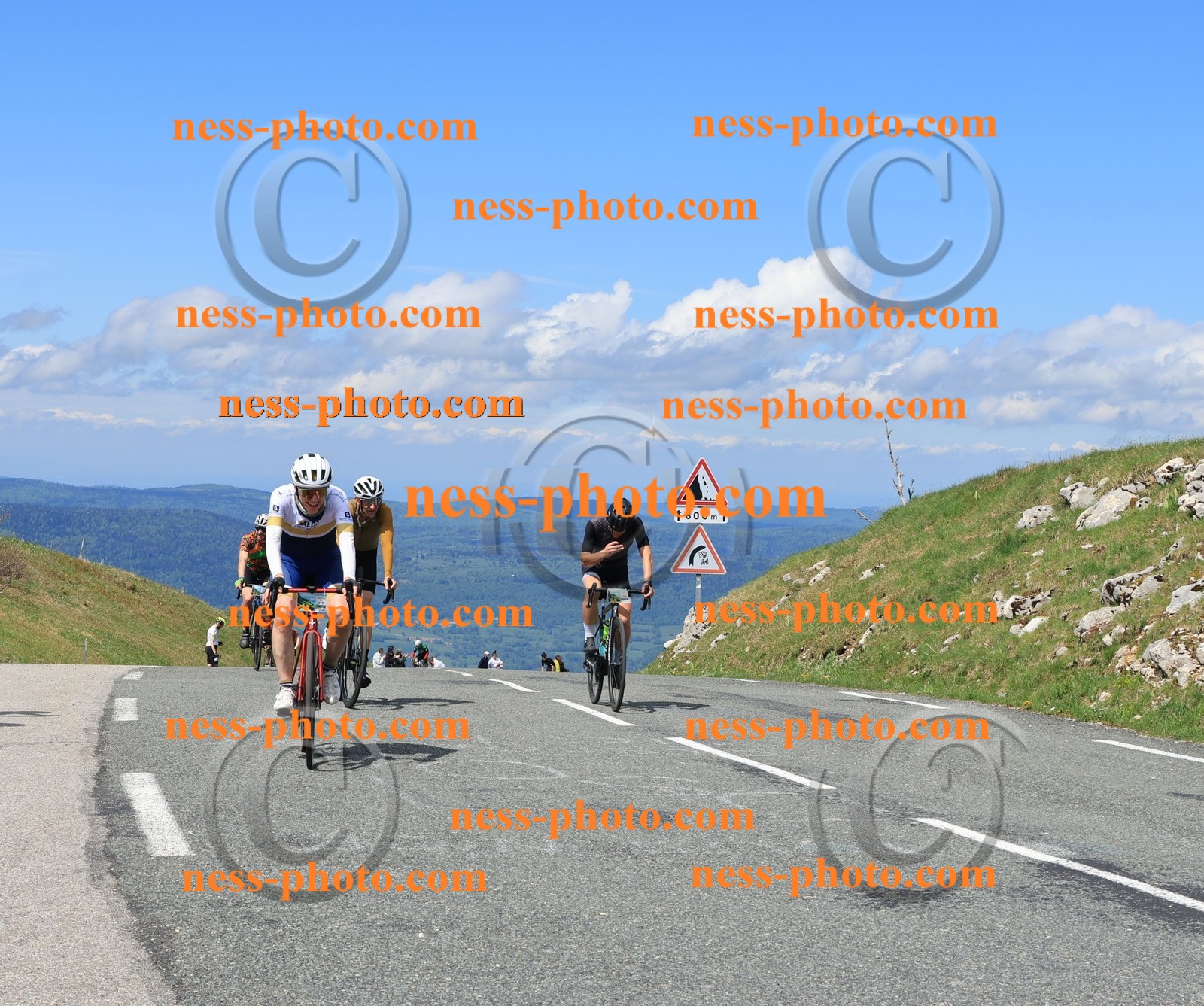 Col du Grand Colombier (1146).JPG