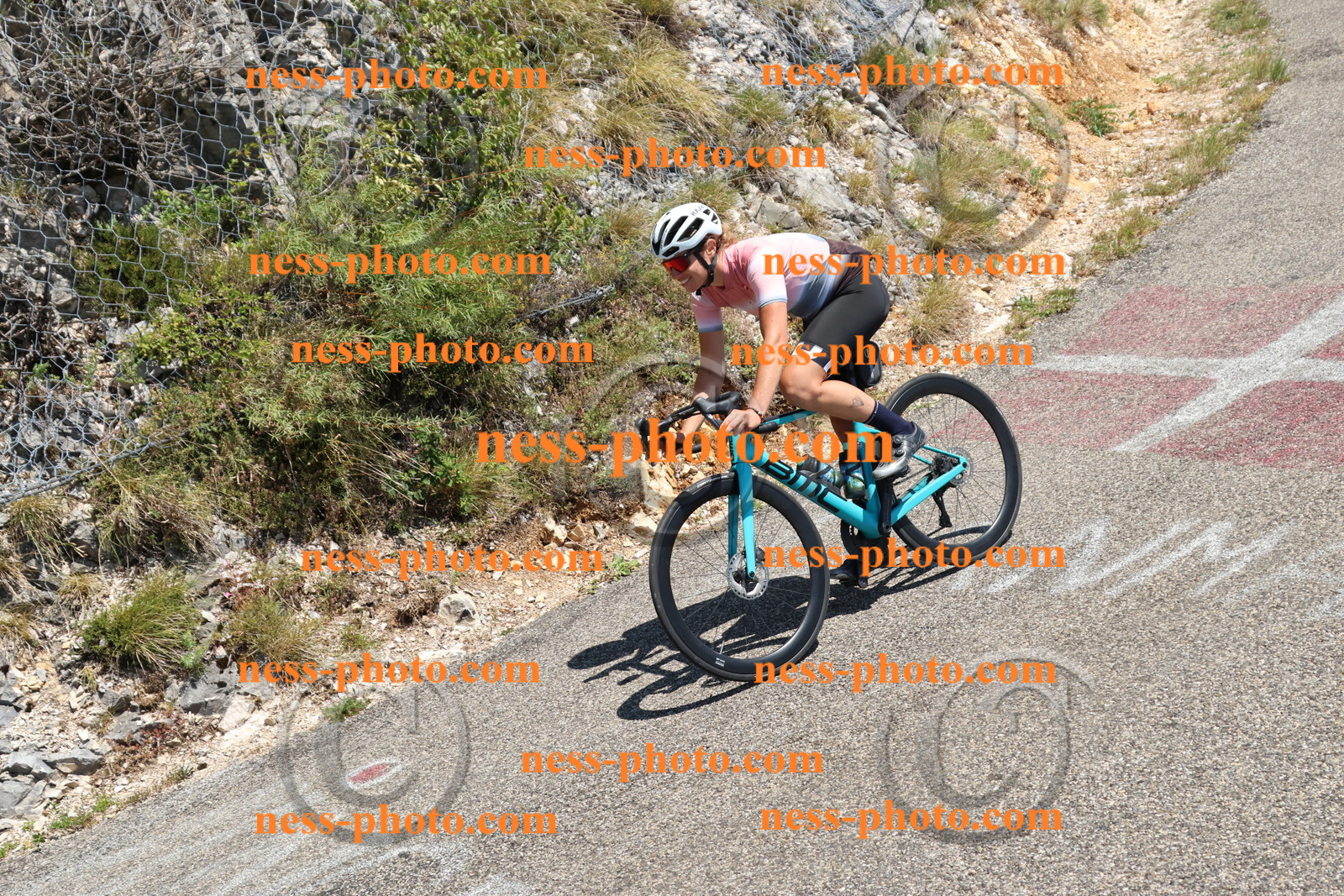 Col du Grand Colombier (556).JPG