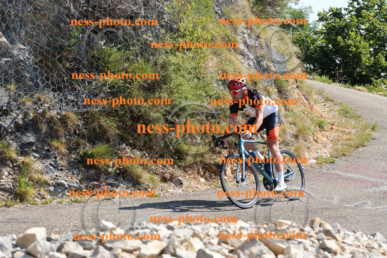 Col du Grand Colombier (399).JPG