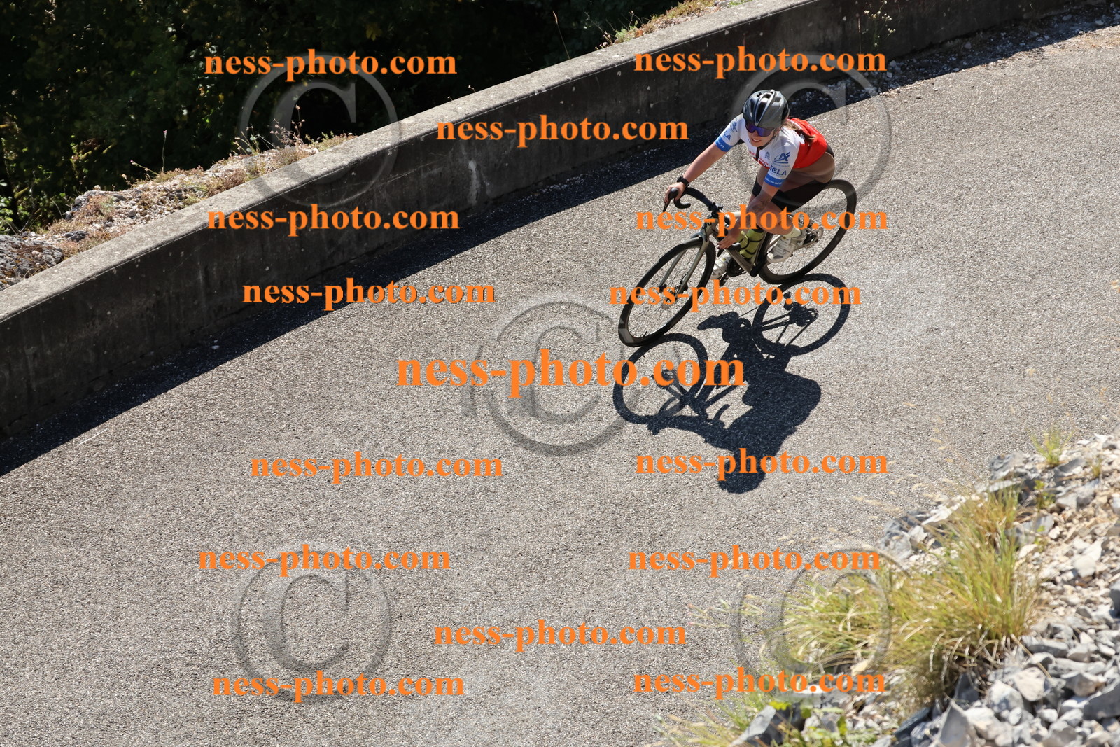 Col du Grand Colombier (657).JPG