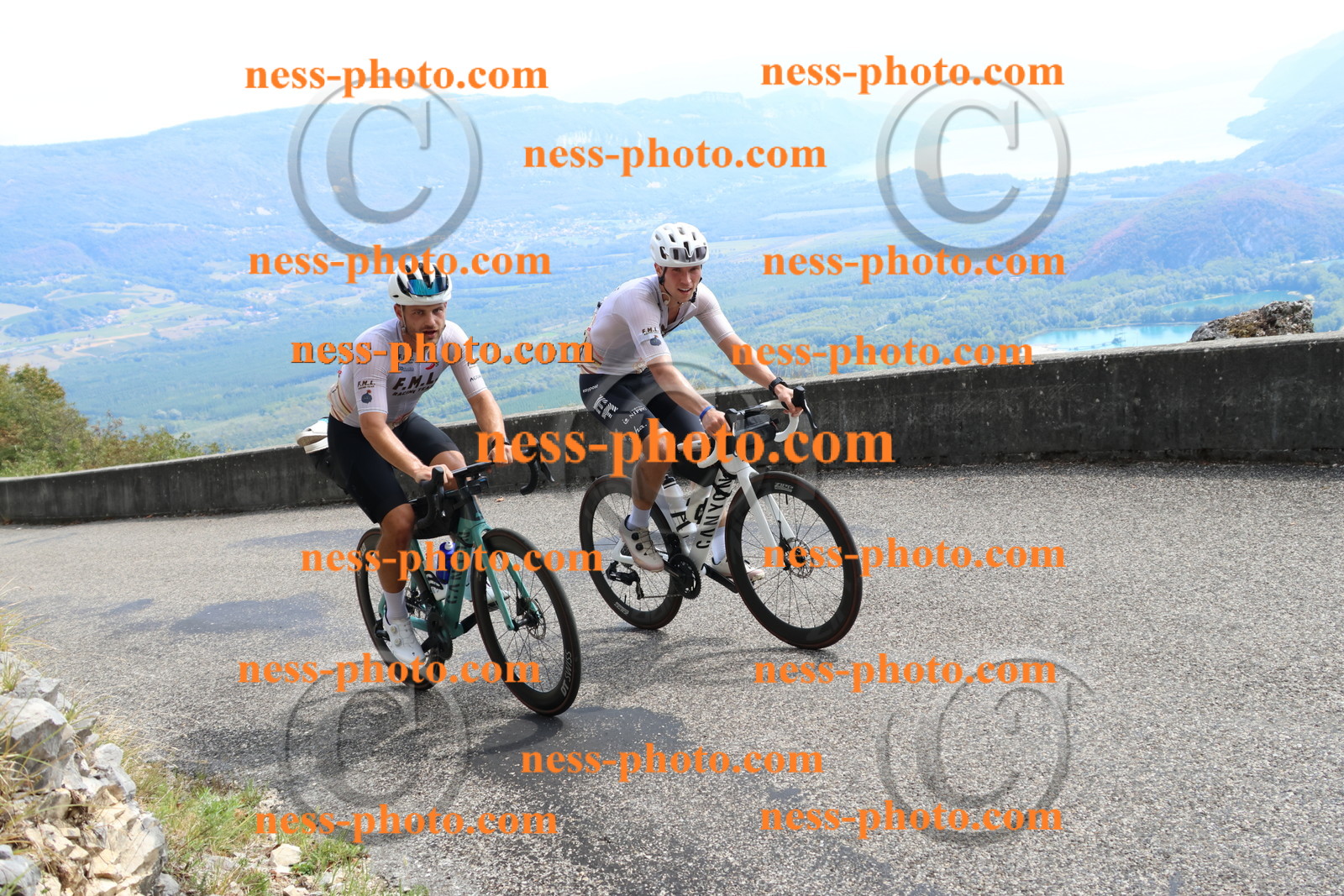 Col du Grand Colombier (691).JPG