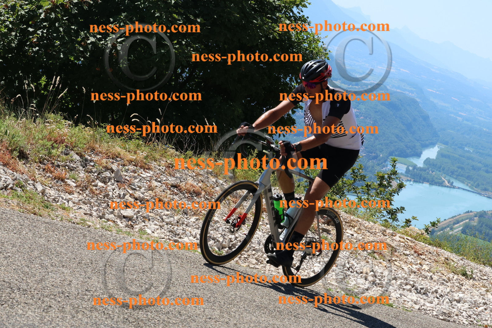 Col du Grand Colombier (496).JPG