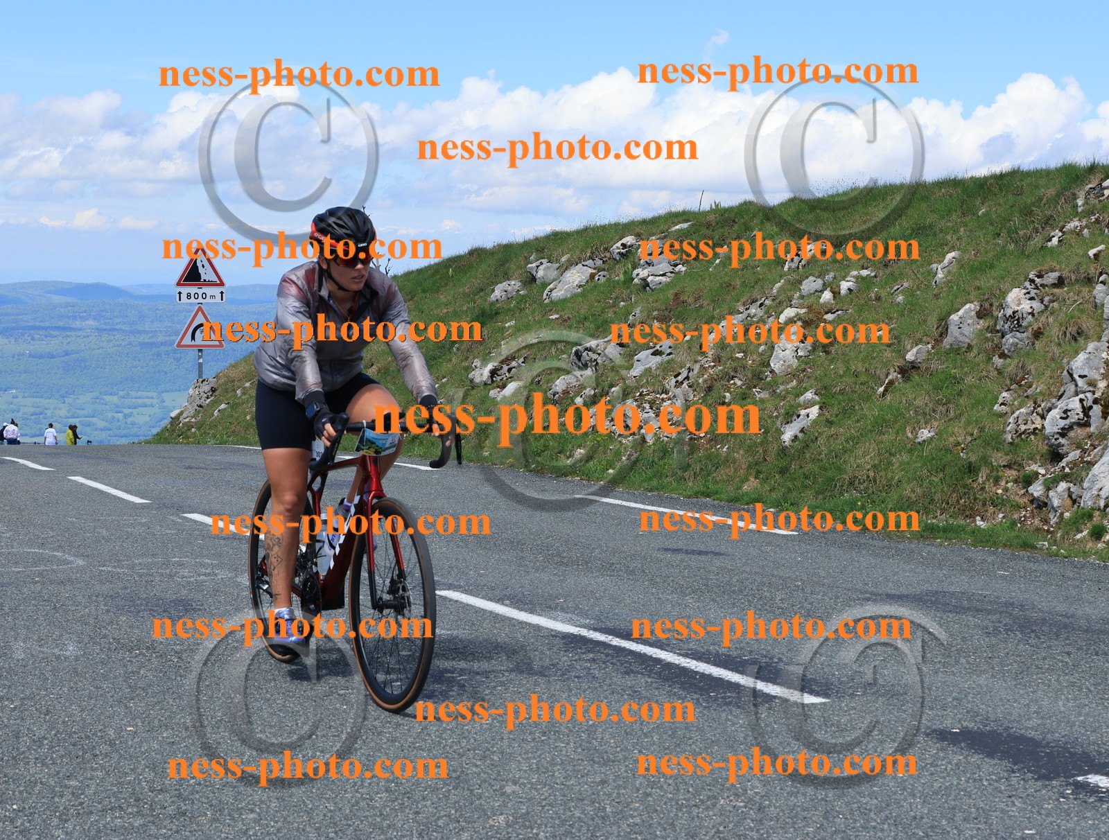 Col du Grand Colombier (1532).JPG