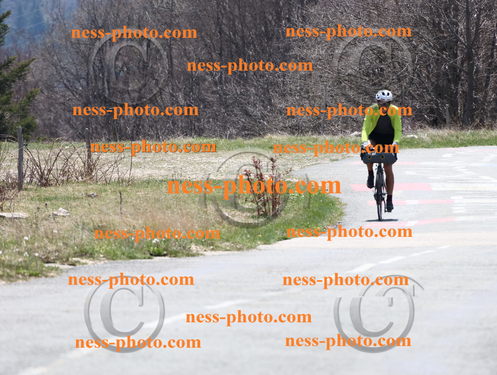 Col du Grand Colombier (302).JPG