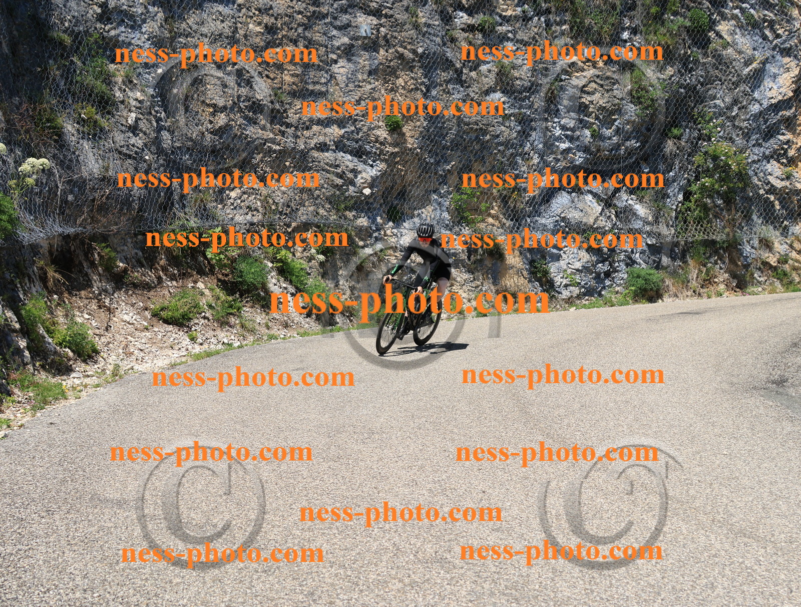 Col du Grand Colombier (665).JPG