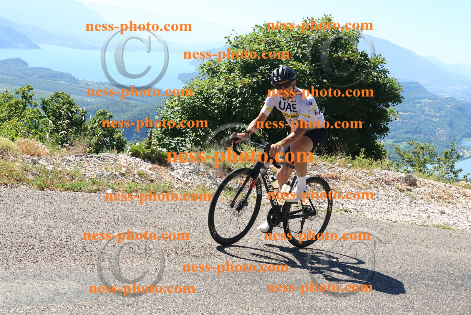 Col du Grand Colombier (390).JPG